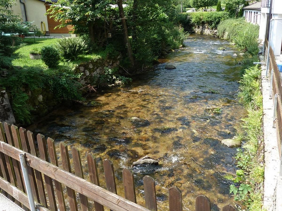 Landgasthof-Hotel-Roessle Oberprechtal Экстерьер фото